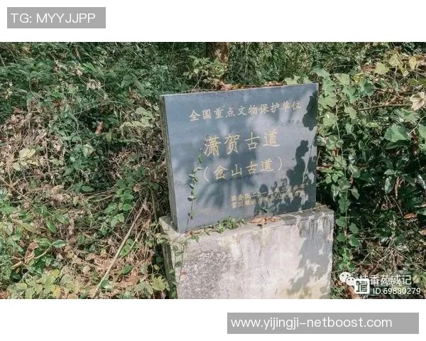 梧州姚明燕的美味传奇与文化传承探秘之旅